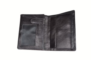 P271 (3).JPG