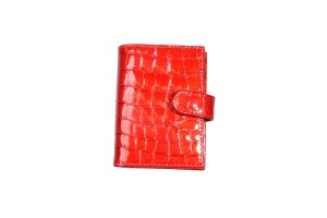 ekk97 etui na karty (2).JPG