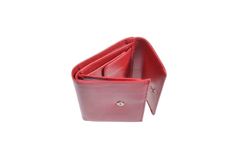DSC_0076 (2).jpg